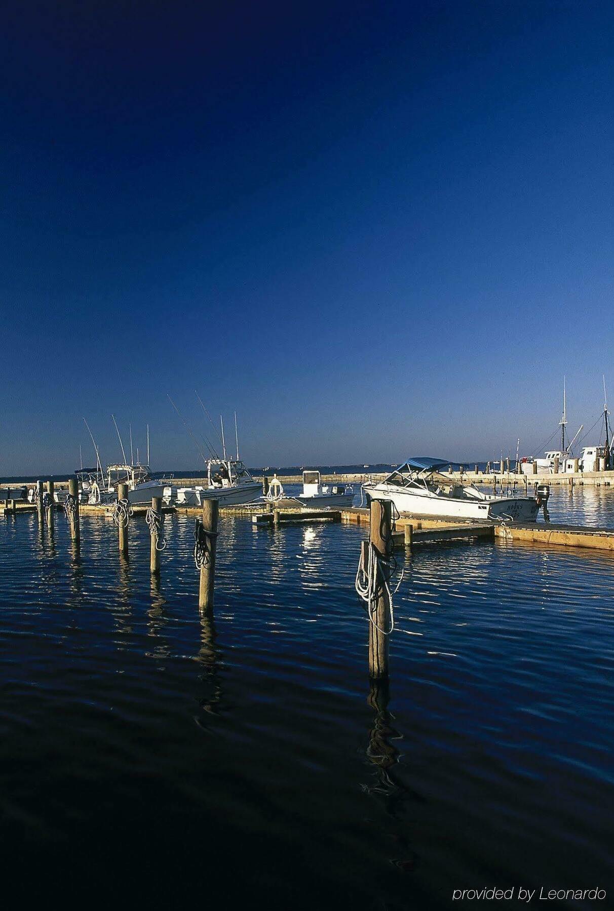 Quality Hotel Morehead City Near Atlantic Beach Konforlar fotoğraf